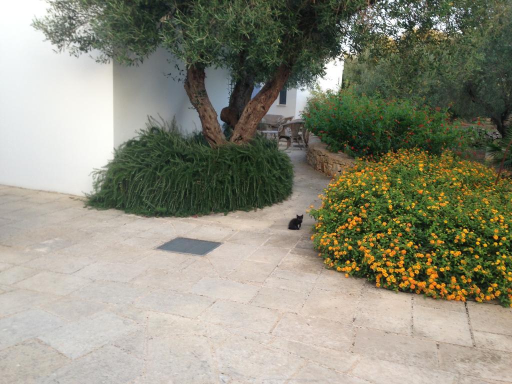 Tenuta De Marco Presicce Bagian luar foto